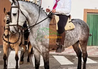 Madre española y padre CDE