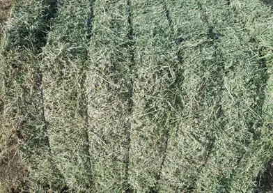 Heno y alfalfa de cordoba