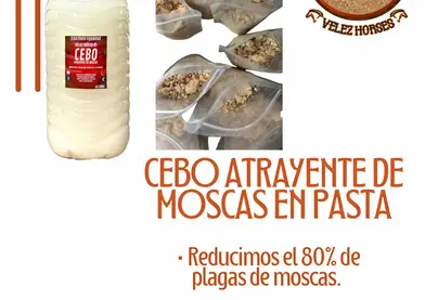 FLY HUNTER cazador de moscas  cortamos ciclos de reproducción de plagas de moscas